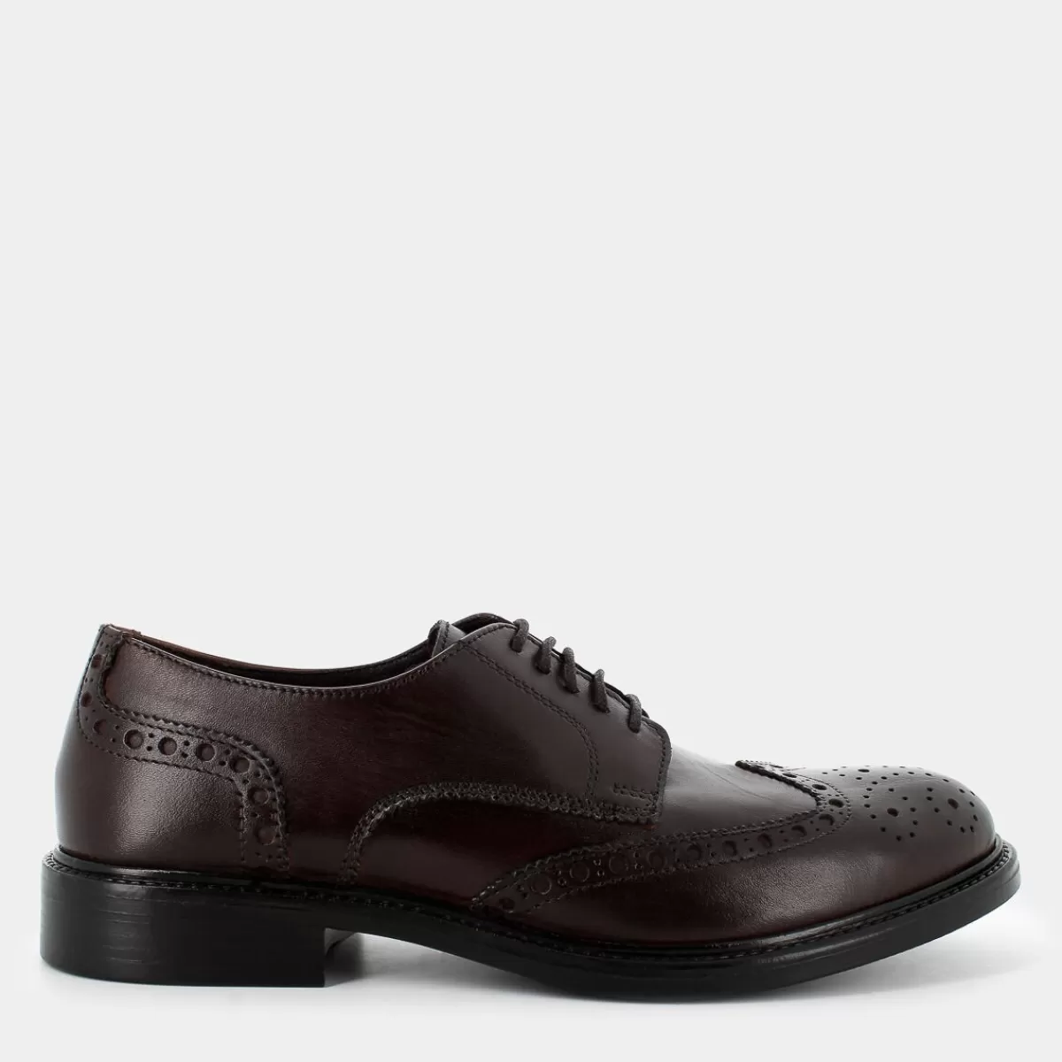 IT-I24U-09-TESTA DI MORO- STRINGATE^SHACKLETON Store