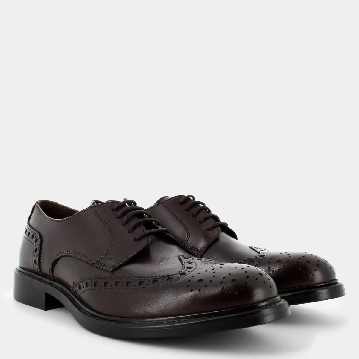 IT-I24U-09-TESTA DI MORO- STRINGATE^SHACKLETON Store