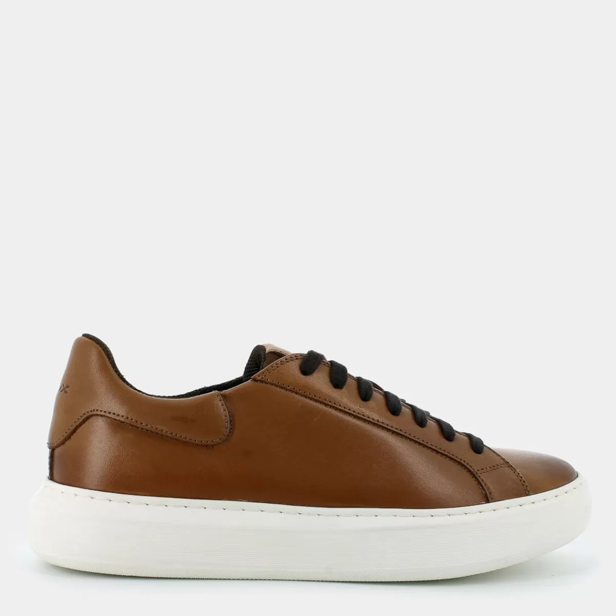 U455WD00085C6002DEIVEN DLIGHT BROWN- SNEAKERS^GEOX Flash Sale